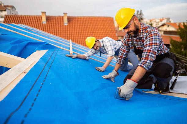 Best Roof Moss and Algae Removal  in Lexington, MI