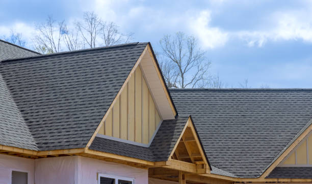 Best Asphalt Shingles Roofing  in Lexington, MI