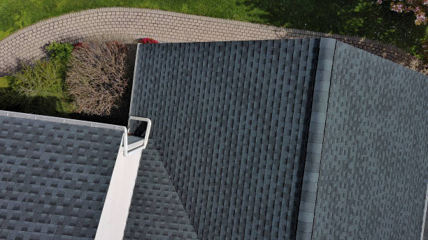 Best Asphalt Shingle Roofing  in Lexington, MI